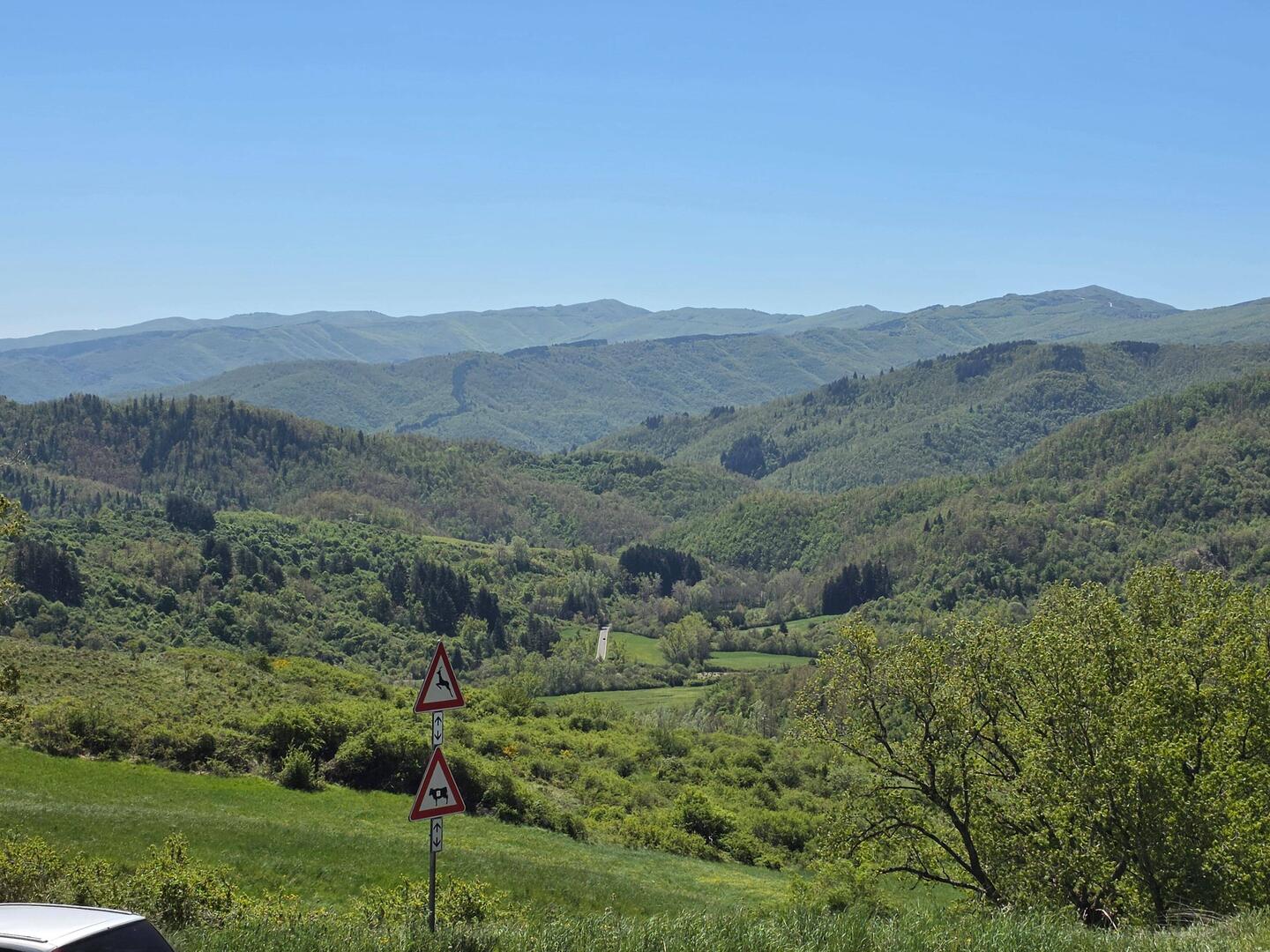 Toskanische Landschaft immer in grün