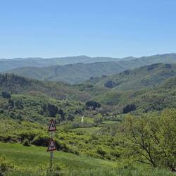Toskanische Landschaft immer in grün