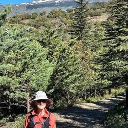 Cerillo Redondo, whose snow we saw at a distance on the first walk of this trip, from Órgiva