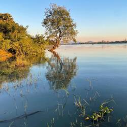 Sundowners birding cruise. Shiré