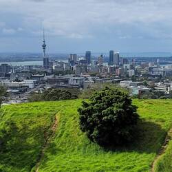 Auckland vom Mt. Iden