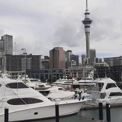 Marina im Hafen von Auckland