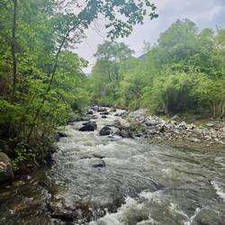 River crossing #1