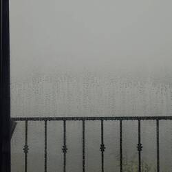 The rain and the storm