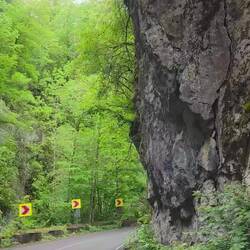 Drive in the Danube Gorge