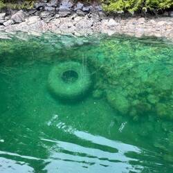 Old large tire dumped in the water...
