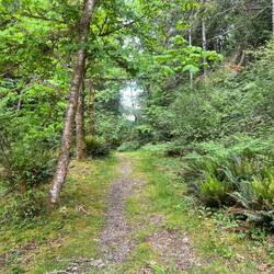 Trail to Black Lake