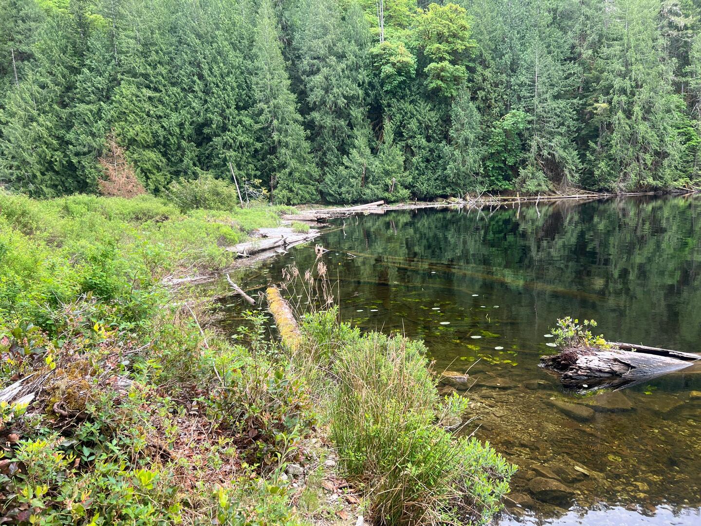 Black Lake