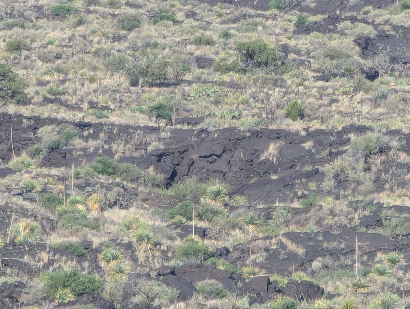 Lava rock