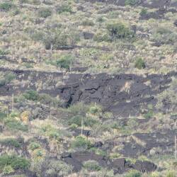 Lava rock