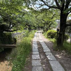 Das ist der berühmte Philosophen-Weg von Kyoto.