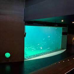 Massive tank with theatre-style seats to watch