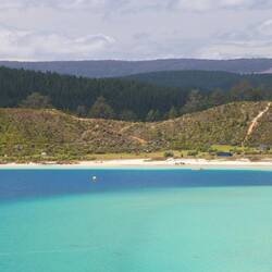 Opononi