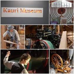 Kauri Museum Matakohe
