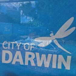 So many dragonflies here. They are a fitting emblem for the city
