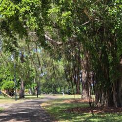 The Esplanade walk
