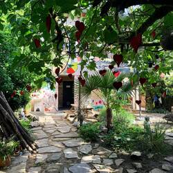 A peaceful albergue along the way