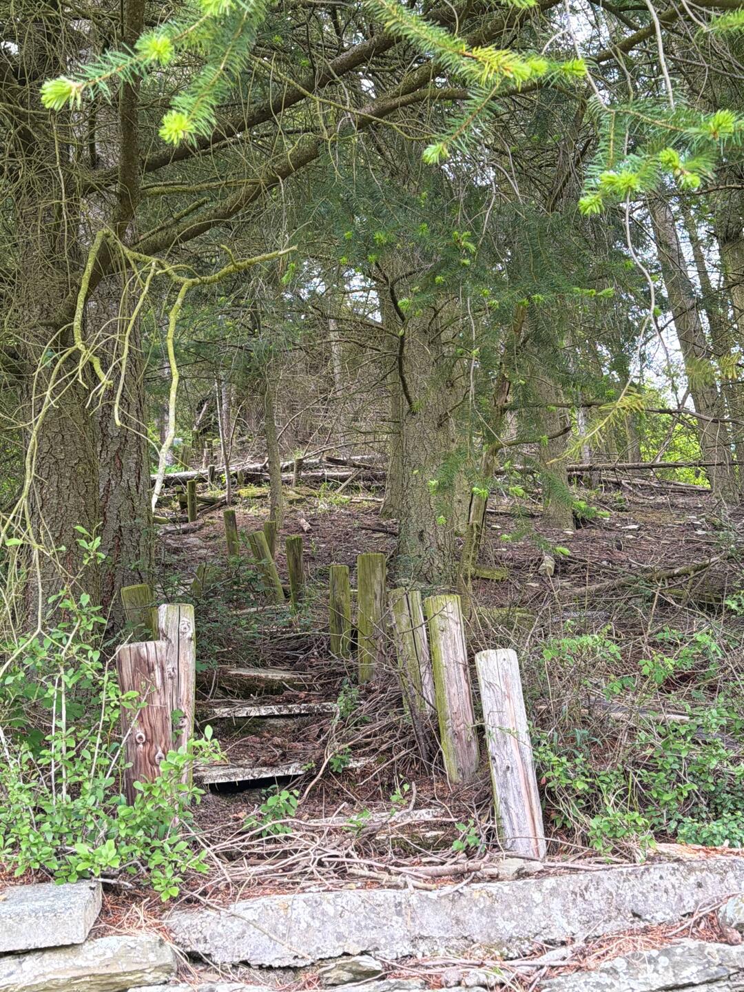Dort oben ist noch eine baufällige Hütte. Zum Glück nicht in den Ressorcen