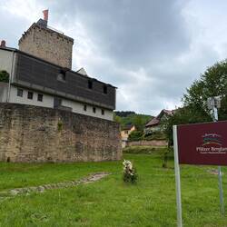 Wasserburg Reipoltskirchen