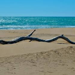 Der Strand ist leer