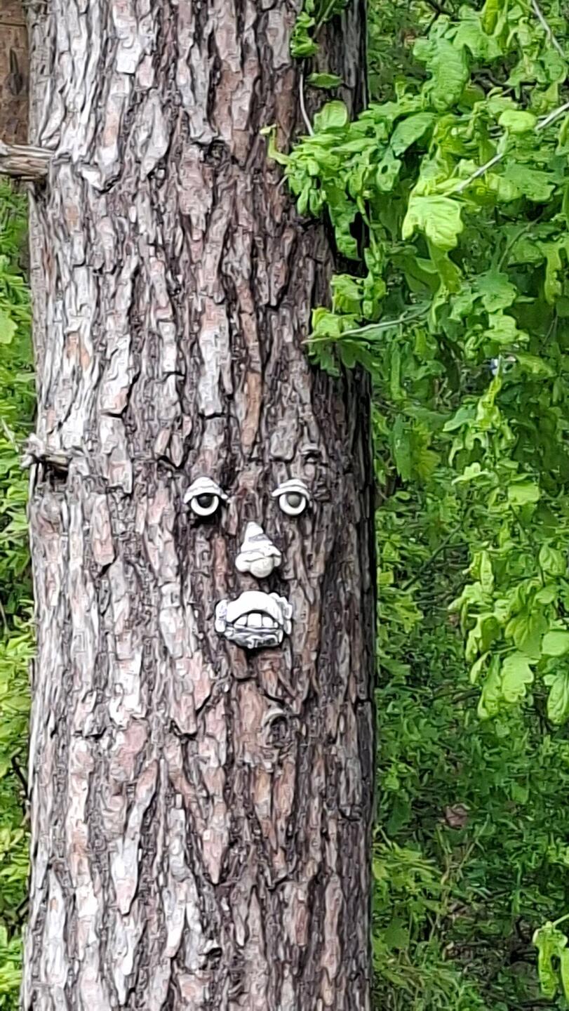 Gugst du🤣