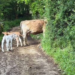 I know not to get between mama and her babies
