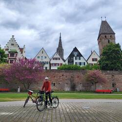 Ulm mit Stadtmauer und dem Münster.
