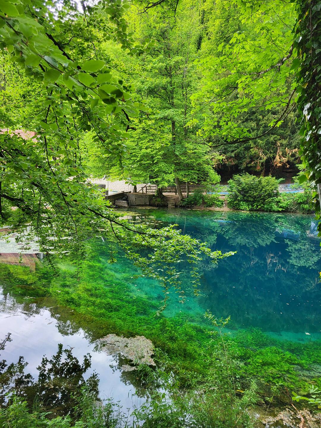 Der Blautopf