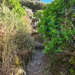 Unsere verschlungenen Wanderwege