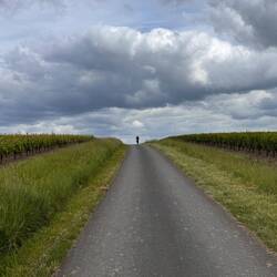 das Bild erinnert mich irgendwie an ein Platten-Cover der Manfred Mann's Earth Band