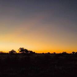 Letzter Sonnenuntergang - in Kalahari