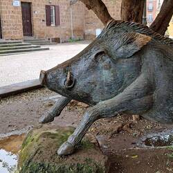 Non vorrei esagerare, ma è la più bella statua di suinide che ho visto😅