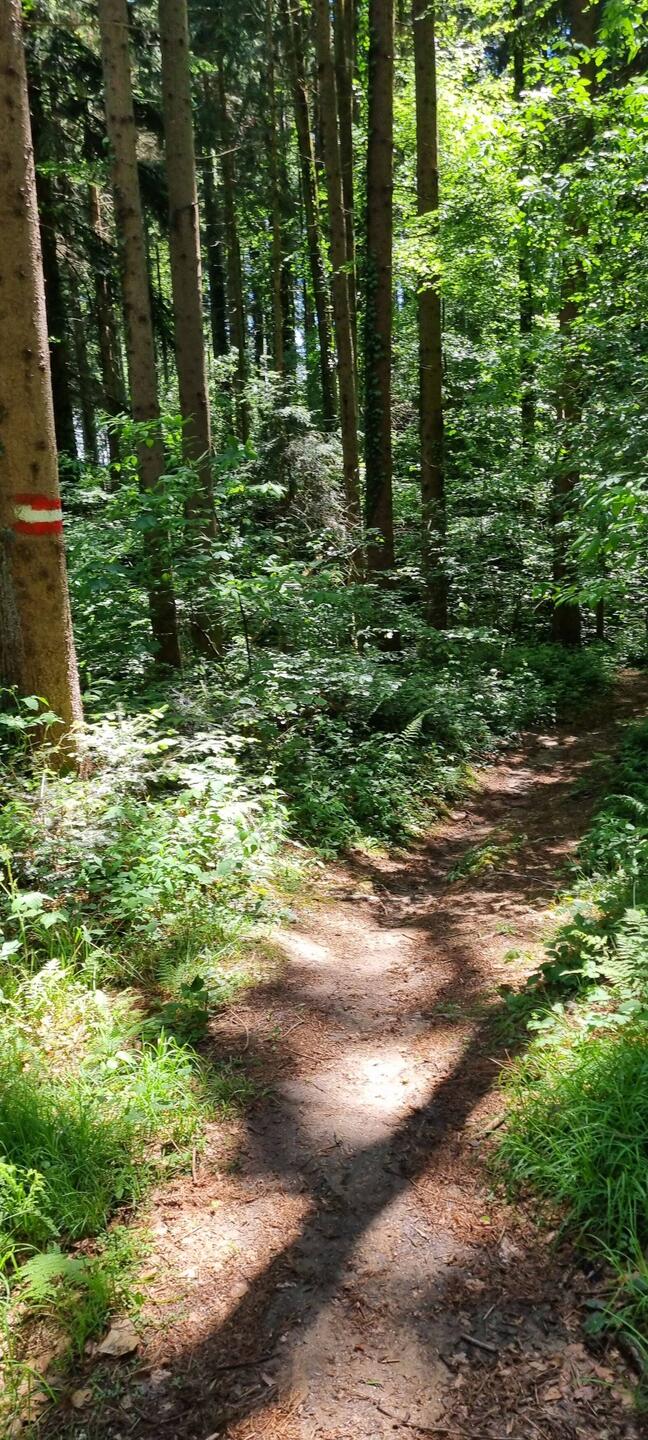 Cooler Wanderweg...