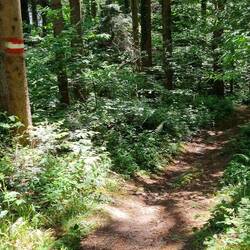Cooler Wanderweg...
