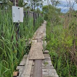 Und teils spannende Holzstege hinter den Häusern