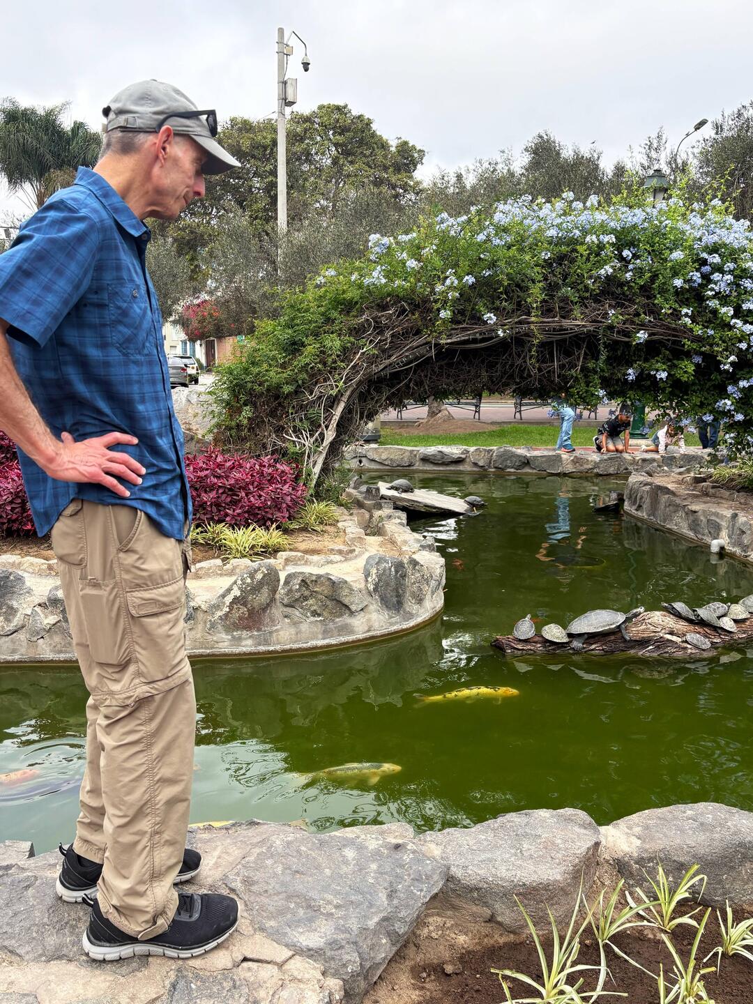 Michael feels about 🐢 as Melissa feels about 🦙