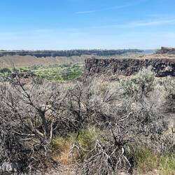 Coming close to the canyon
