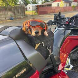Our new ride and friend