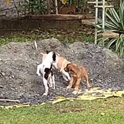 In Rosas Garten is was los 😄