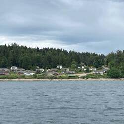 City of Squirrel Cove