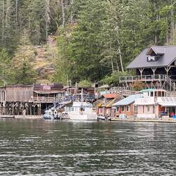 The downtown area of Refuge Cove