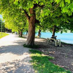 Perfecto para caminar, relajarse y disfrutar del paisaje.