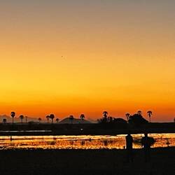 Wetlands at sunset