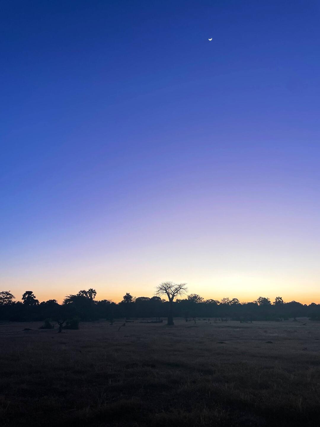 Early morning sky