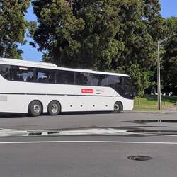Stopp an der Kiwi-Aufzuchtstation