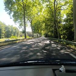 ... durch wunderschöne schattige Alleen 🌳 🌳 ...
