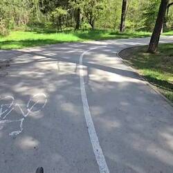 Elegant gehts durch den Wald/Park, dank top Wegen bis zum Meer
