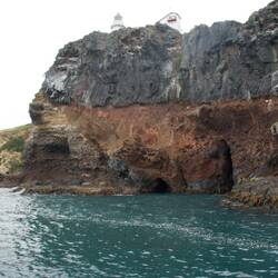Die Bucht der Albatrosse