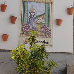 Kar krasijo.