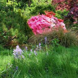 Park Dunfermline